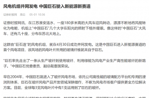 时报：风电机组并网发电 中国人生就是博驶入新能源新赛道